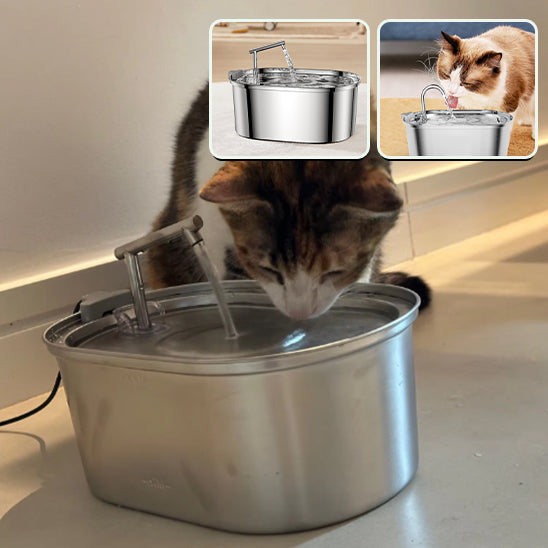 Fontaine à Eau 3.2L en Acier Inoxydable pour Chat