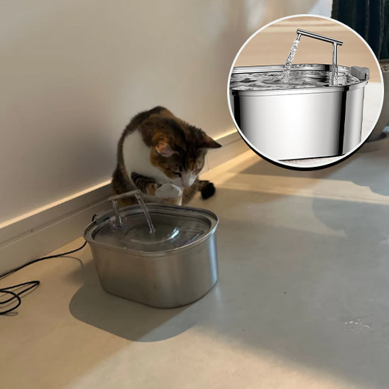 Fontaine à Eau 3.2L en Acier Inoxydable pour Chat