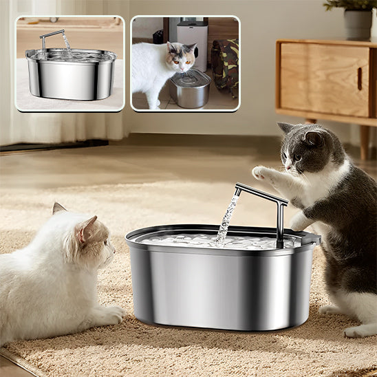 Fontaine à Eau 3.2L en Acier Inoxydable pour Chat