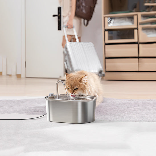 Fontaine à Eau 3.2L en Acier Inoxydable pour Chat