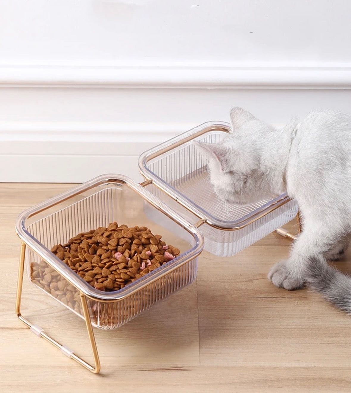 Gamelle Double Élevée pour Chat – Bols Transparents avec Support Doré