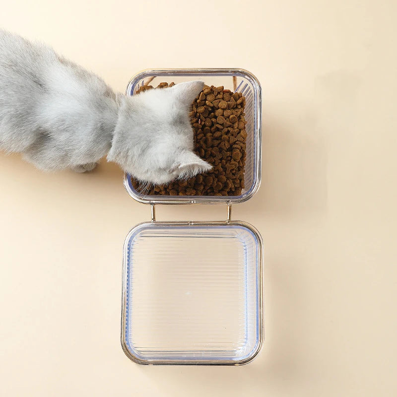 Gamelle Double Élevée pour Chat – Bols Transparents avec Support Doré