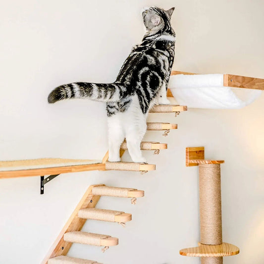 ClimbCat™ - Escalier - Chat Michou