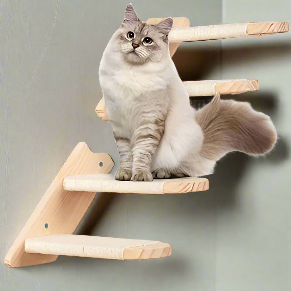 ClimbCat™ - Escalier - Chat Michou