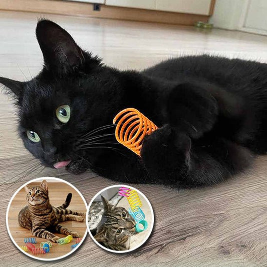 Jouets Interactifs à Ressort - Chat Michou