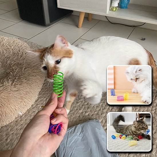 Jouets Interactifs à Ressort - Chat Michou