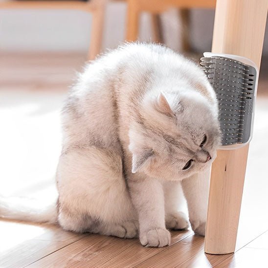 Soins Michou™ Auto - toilettage - Chat Michou