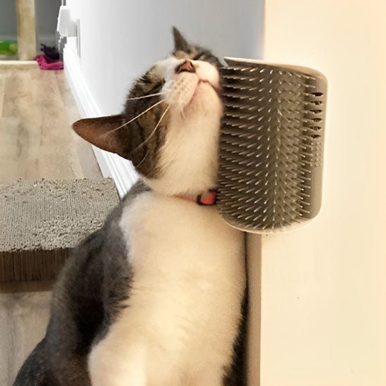 Soins Michou™ Auto - toilettage - Chat Michou