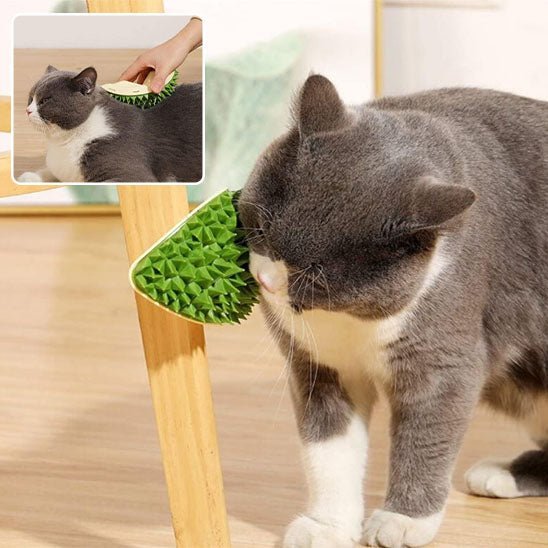 Soins Michou™ Auto - toilettage - Chat Michou